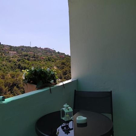 Ca' Isabella Apartment Vallebona Luaran gambar